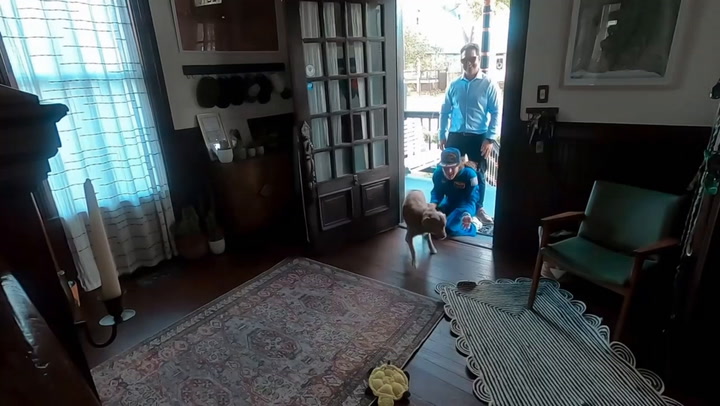 Video Player Placeholder