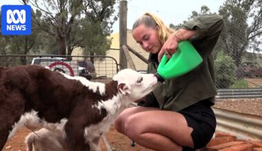 The outback jobs disappearing as tourists can no longer afford fuel to travel