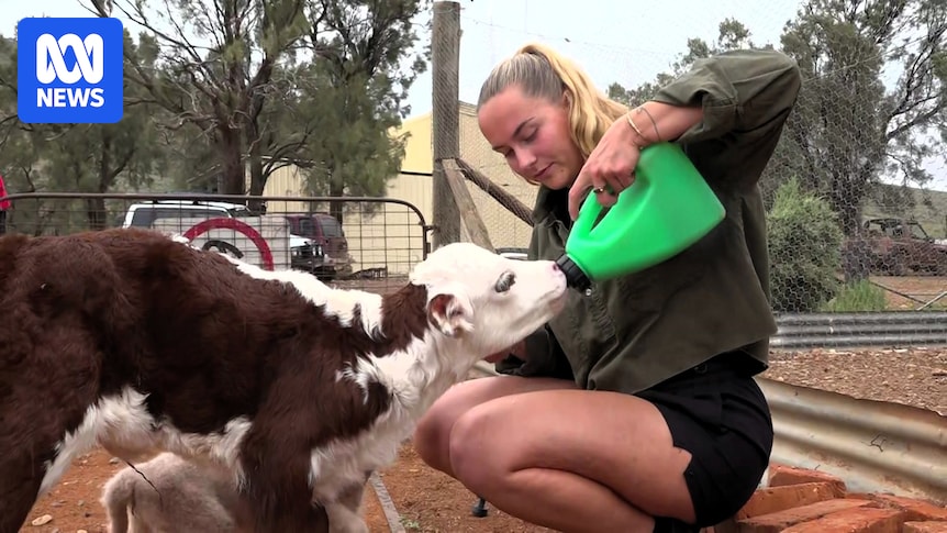 The outback jobs disappearing as tourists can no longer afford fuel to travel