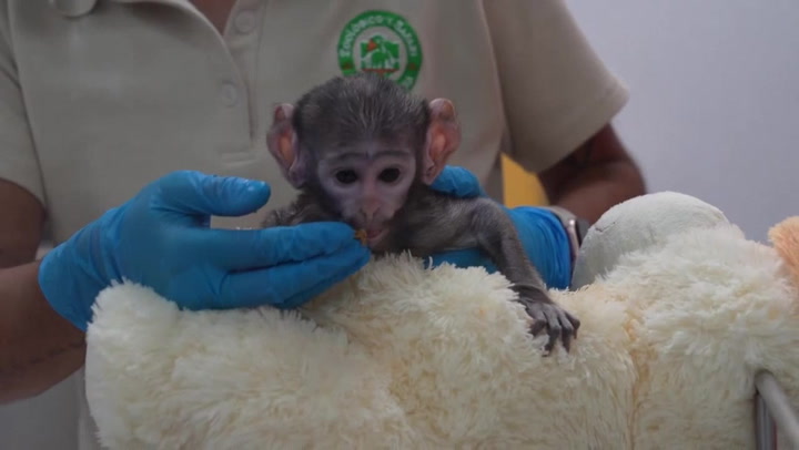 Video Player Placeholder