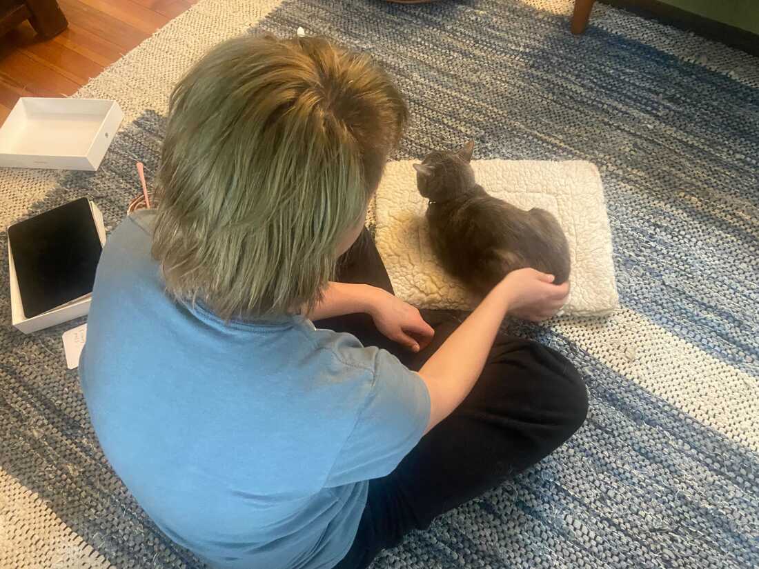 A 14-year-old trans boy nicknamed Bug pets his cat at home in western Massachusetts. He had been about to start taking testosterone at Baystate hospital in Springfield, Mass. when the gender-affirming care program abruptly closed.