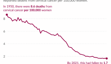 Death rates for cervical cancer in the United Kingdom have fallen by 80% since 1950