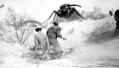 WB Eyes Glen Powell for Remake of 1954 Sci-Fi Horror 'Them!'