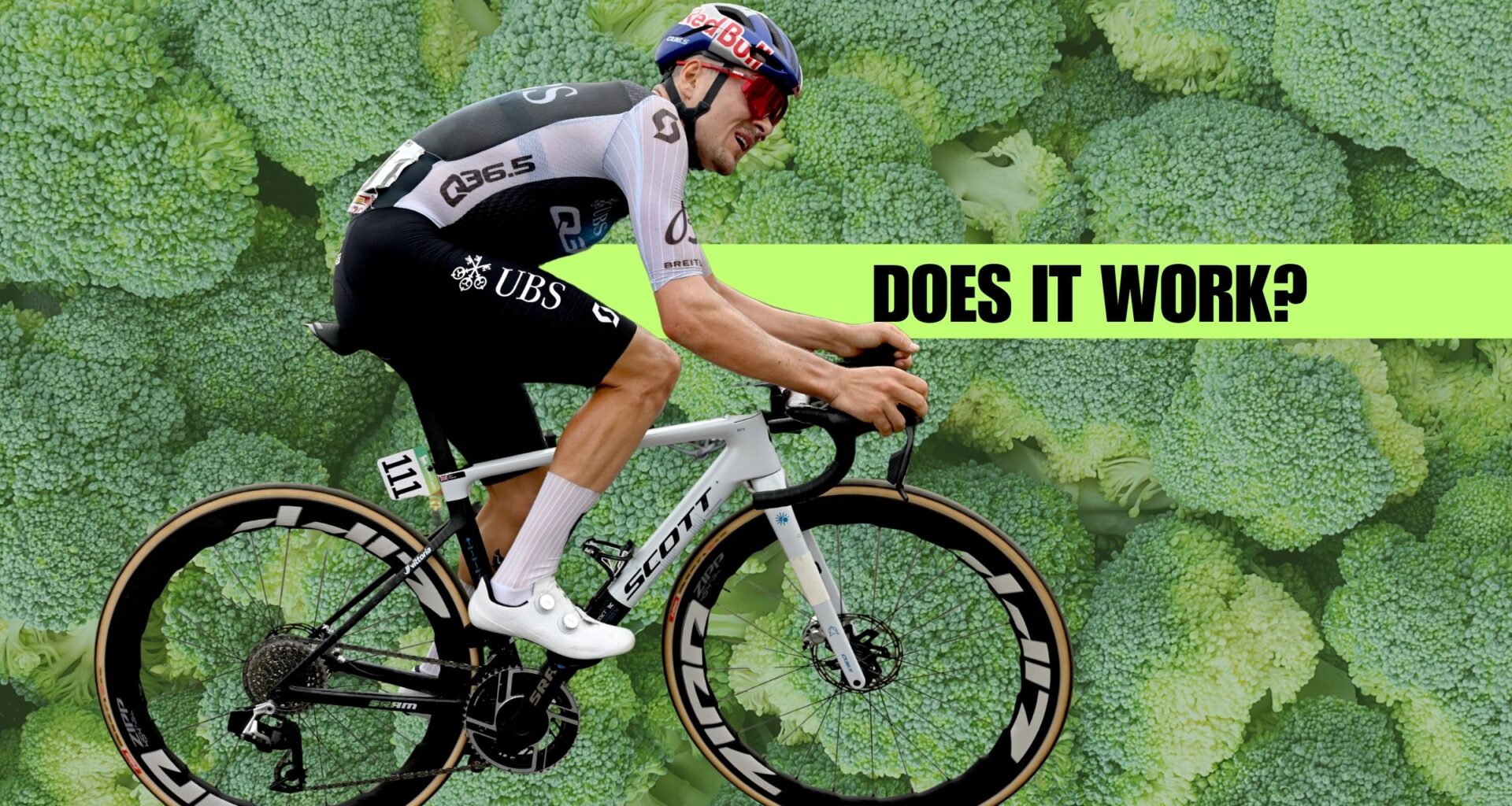 NOMIO x Pinarello Q36.5 and Pidcock