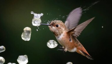 22 Winners Of The Nature Photography Contest