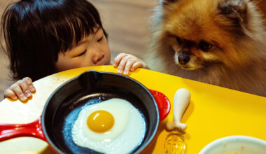 Sony World Photography Awards 2026: All The Winning Photos