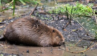 Gloucestershire Live