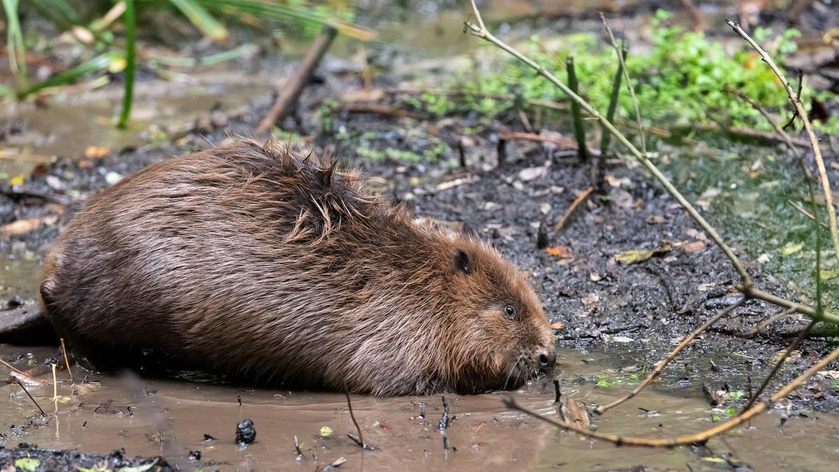 Gloucestershire Live