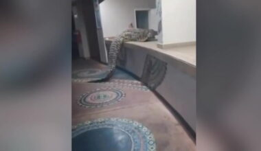 Video Player Placeholder