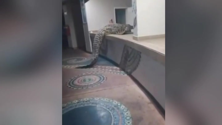 Video Player Placeholder