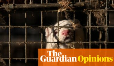 Ban fur farming or risk a new pandemic | Neil Vora