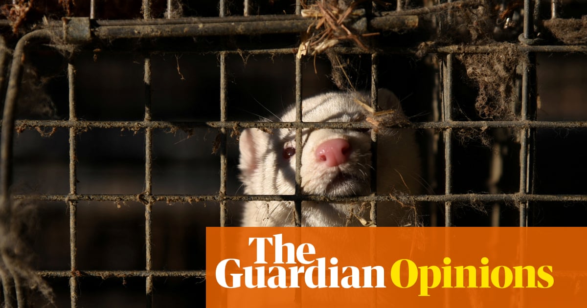 Ban fur farming or risk a new pandemic | Neil Vora