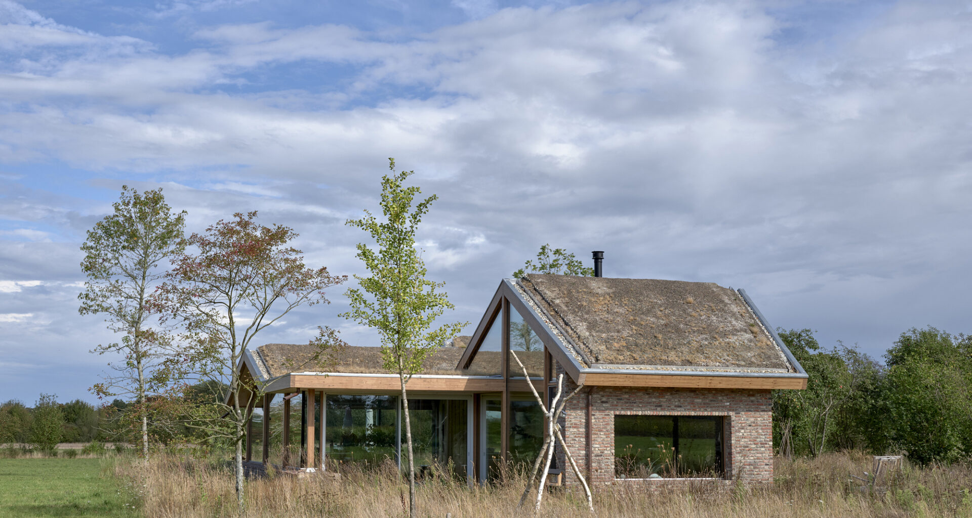 House in the Meadow / Team Tonbo