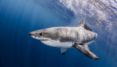 Understanding The Real Risk Around The World