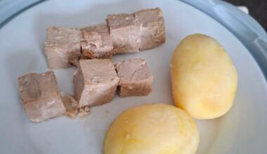 Two potatoes and seven cubes of tuna: The bad hospital food ‘hampering’ patients’ recovery