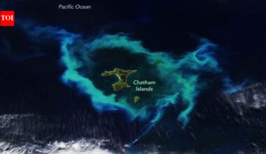 NASA satellite spots gleaming halo around New Zealand’s Chatham Islands |