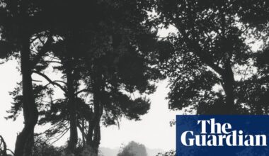‘Tracey Emin said they’re all about death’: Johnnie Shand Kydd on his dog-walk photographs – and capturing the hard-partying YBAs | Photography