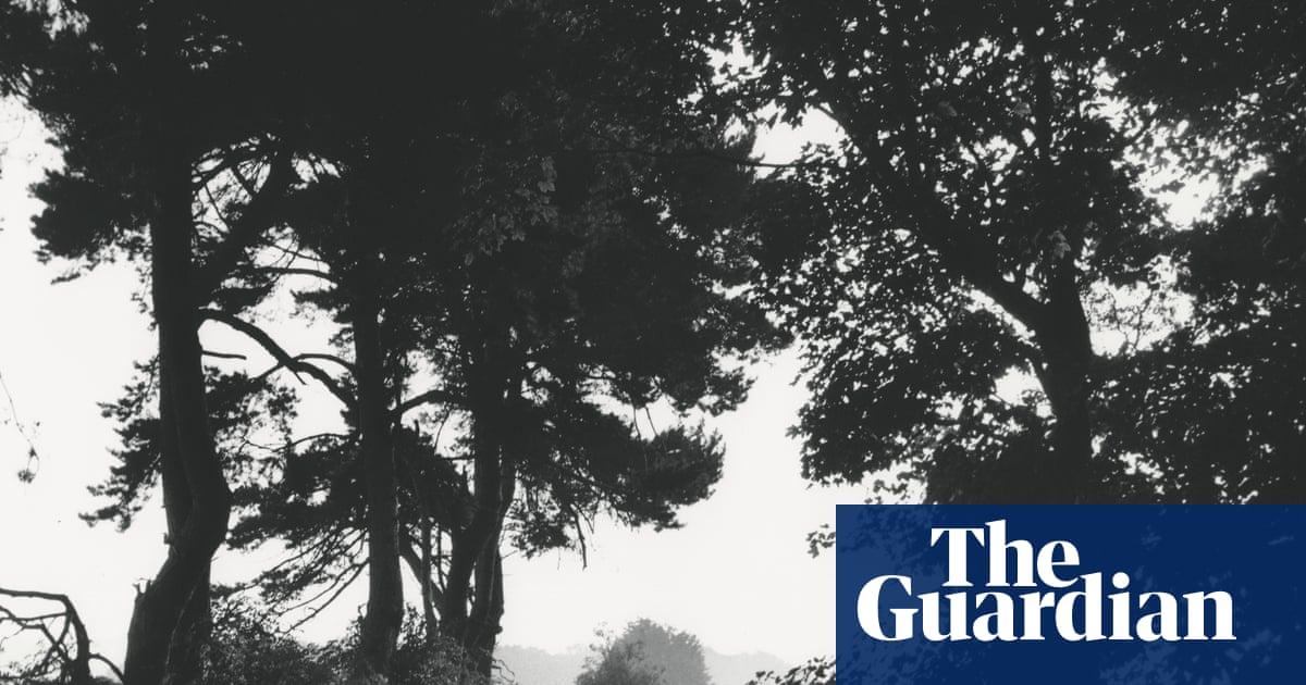 ‘Tracey Emin said they’re all about death’: Johnnie Shand Kydd on his dog-walk photographs – and capturing the hard-partying YBAs | Photography