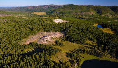 Nighttime Imaging Grows Landsat's Science Value