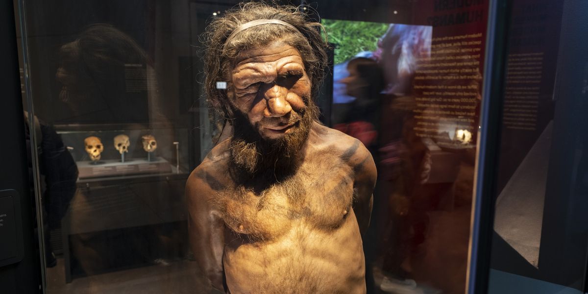 Researchers share bombshell new claim as to why Neanderthals really died out