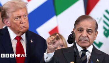 U.S. President Donald Trump looks at Pakistan's Prime Minister Shehbaz Sharif during a world leaders' summit on ending the Gaza war, in Sharm El-Sheikh, Egypt, October 13, 2025.