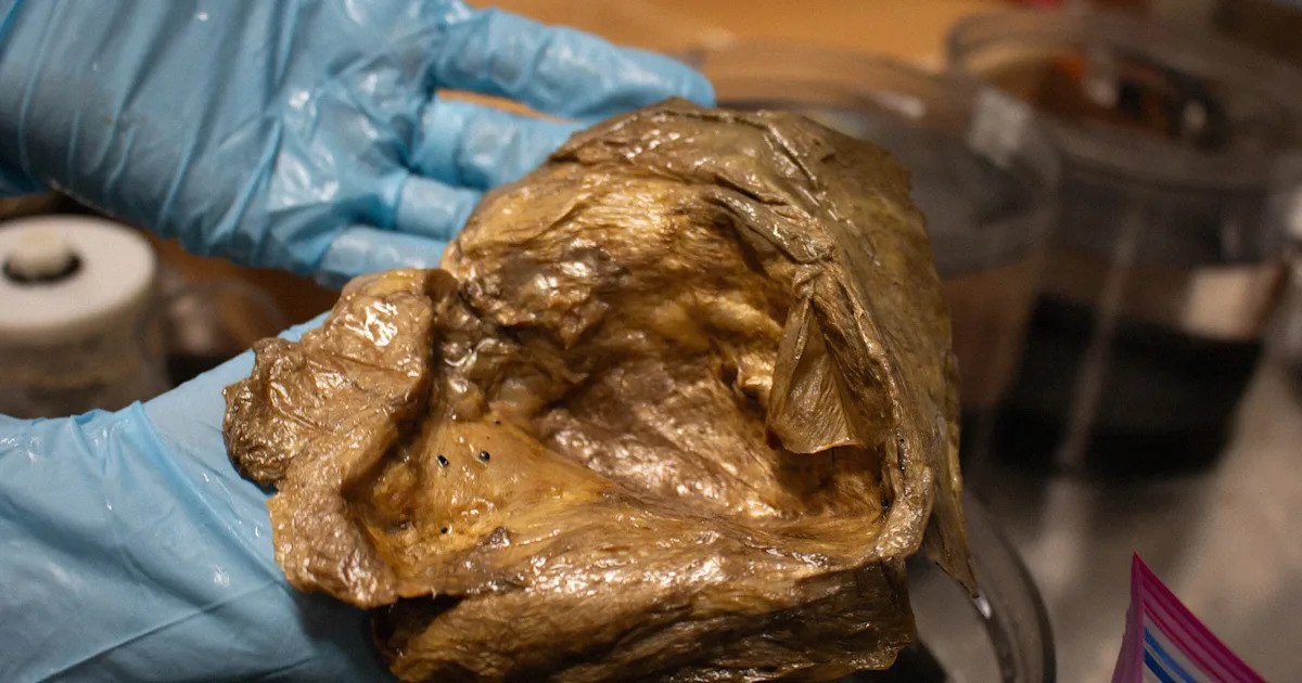 Scientists Say They’ve Figured Out What That Golden Orb Found at the Bottom of the Pacific Ocean Actually Was