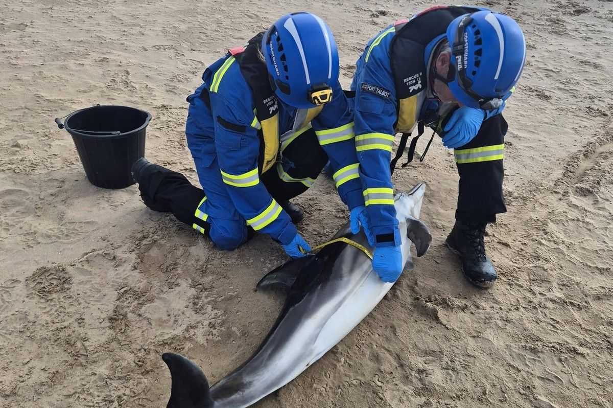 Marine medics attended the beach on Tuesday afternoon