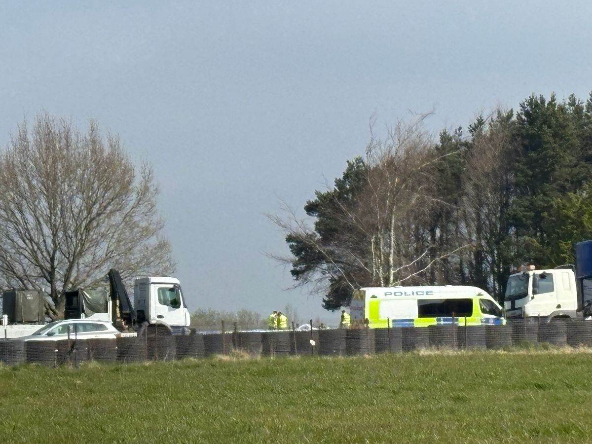 Police vans in a field