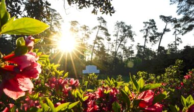 Questions arise as Masters looms