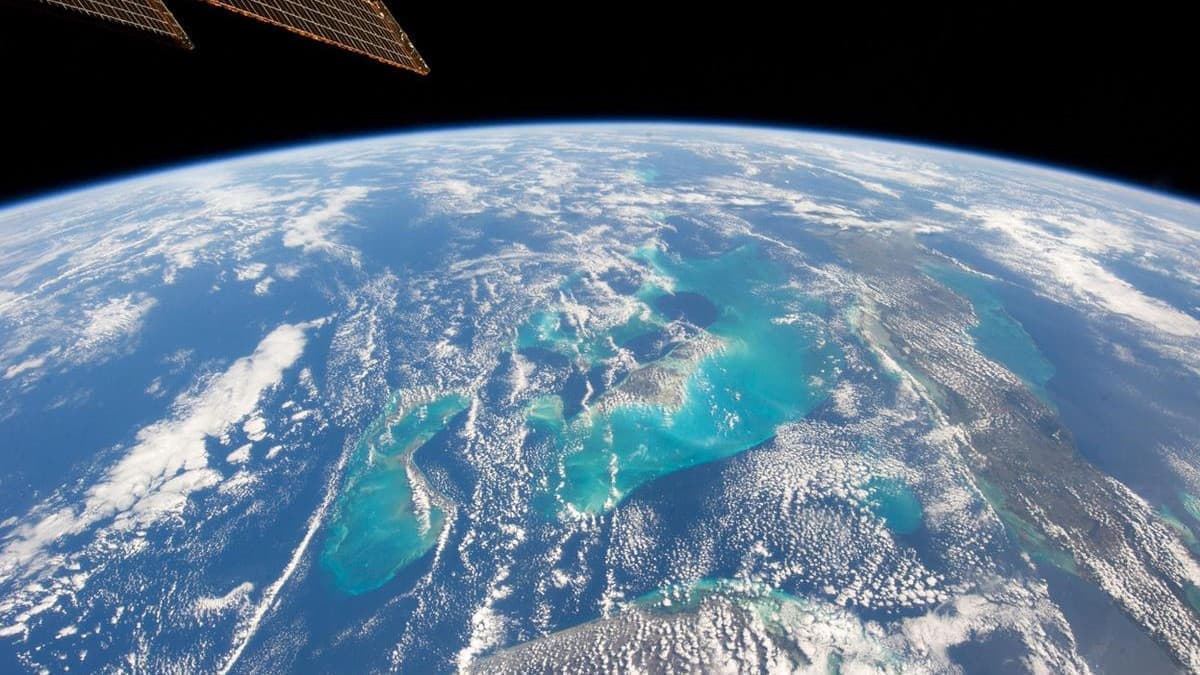 The Carbon Market Is Set for a Major Shake-Up