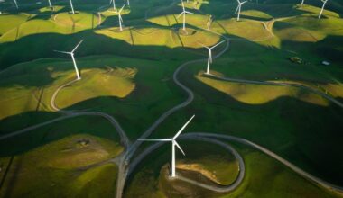 Red Tape Is Strangling The Clean Energy Transition