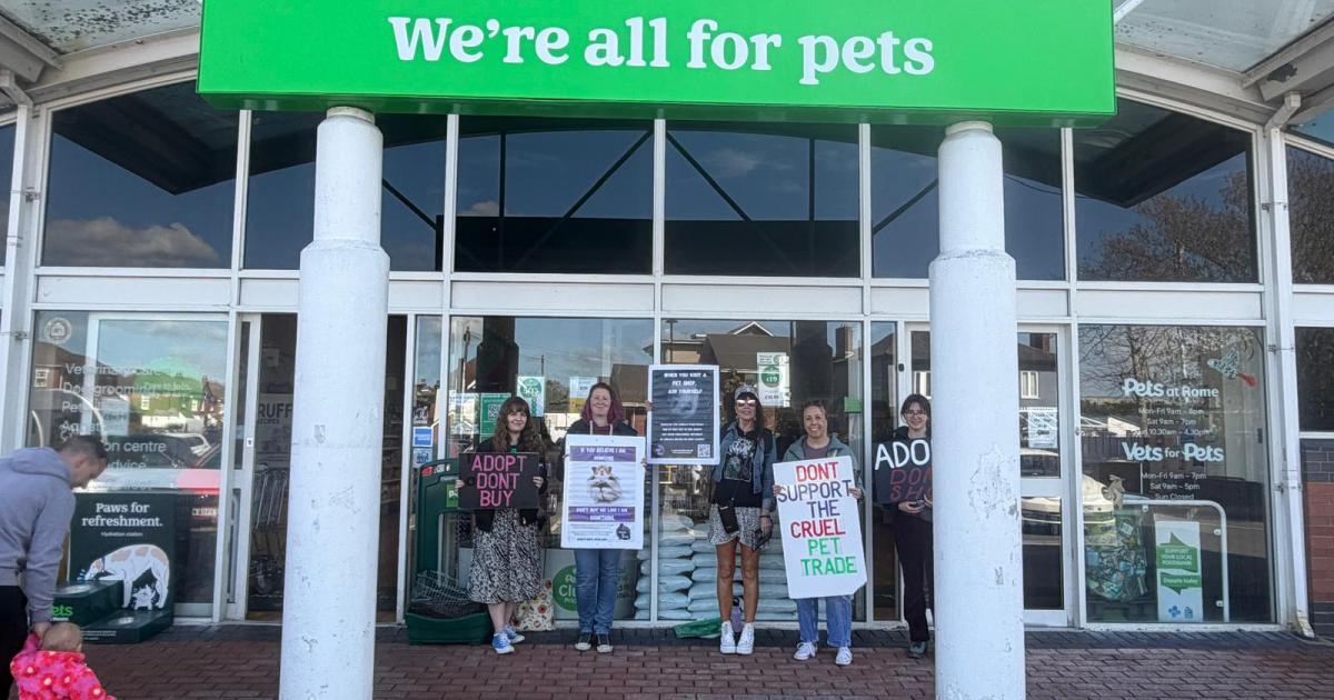 Protesters call for end to animal sales at Pets at Home