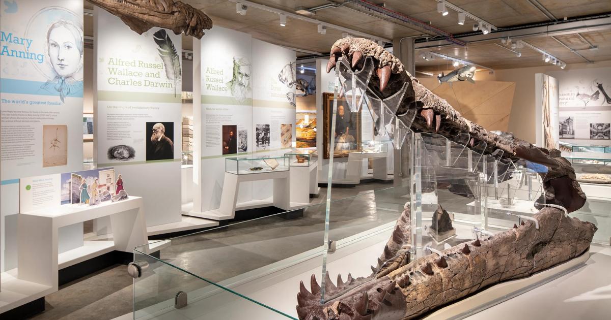 Dorset Museum & Art Gallery Dorchester Jurassic Coast event