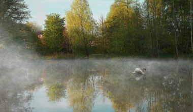 Warrington camera club photographers capture bodies of water