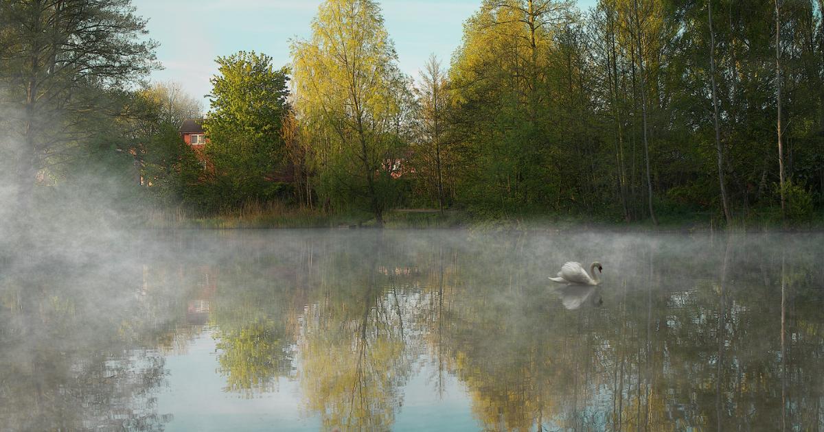 Warrington camera club photographers capture bodies of water