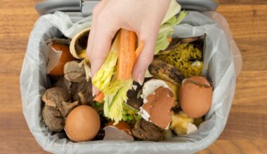 When is food waste recycling roll-out in Wiltshire?