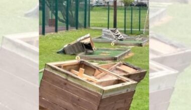 Newbury - Anger as adventure golf course vandalised