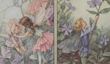 Museum unveils Flower Fairies and Dorset views exhibition