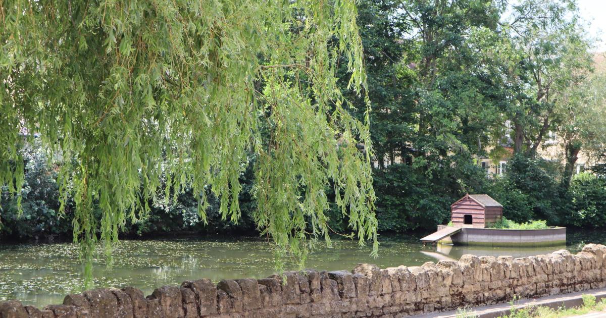 Cotswolds walk from Moreton-in-Marsh named among UK's best