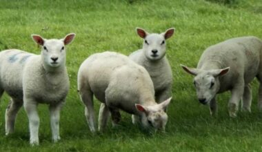 CAMERA CLUB: Adorable pictures of Spring across Bucks