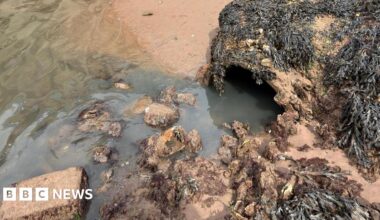An open pipe on the beach opening into the sea is covered in seaweed and the water flowing from it is dark brown.