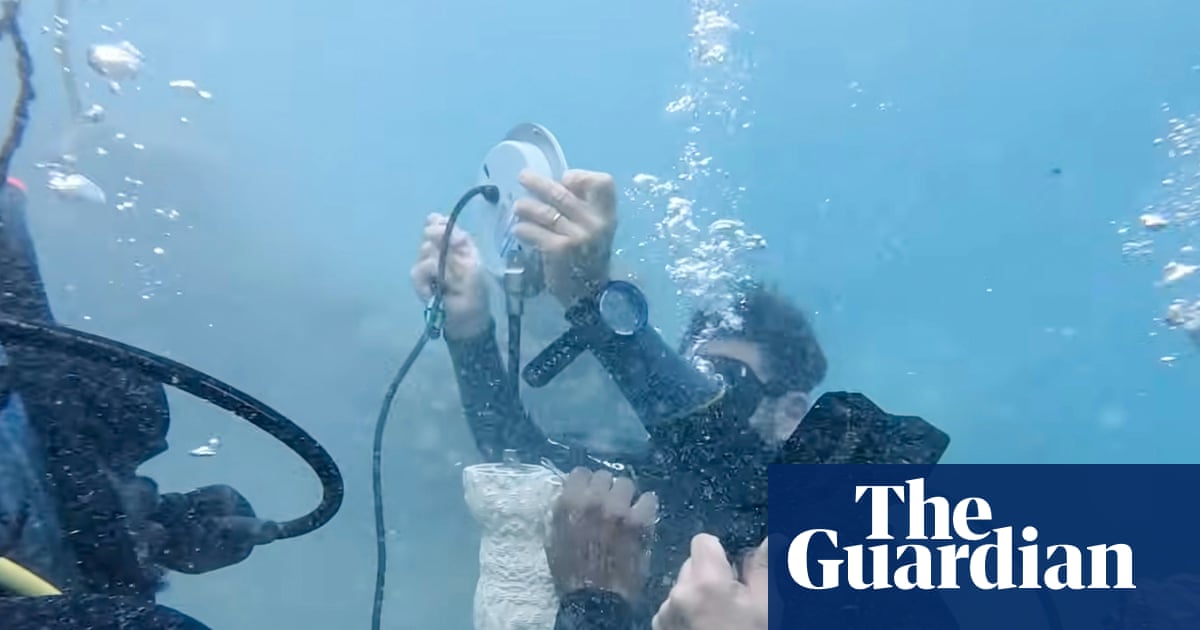 Soundtrack of the sea: divers use underwater speakers to help dying coral reefs | Coral