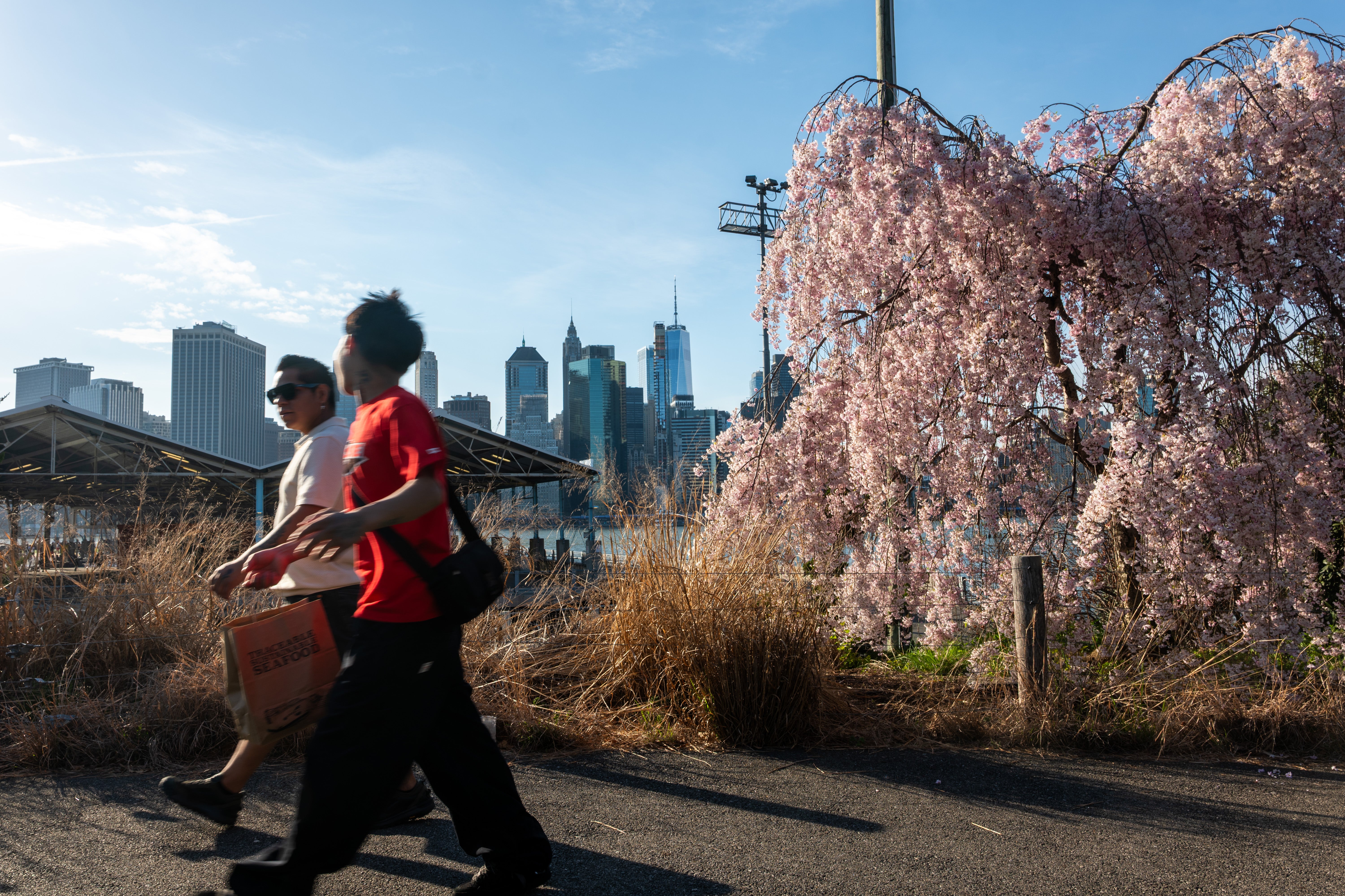 If you struggle to squeeze much movement into your week, introducing even light activity can have noticeable positive impacts