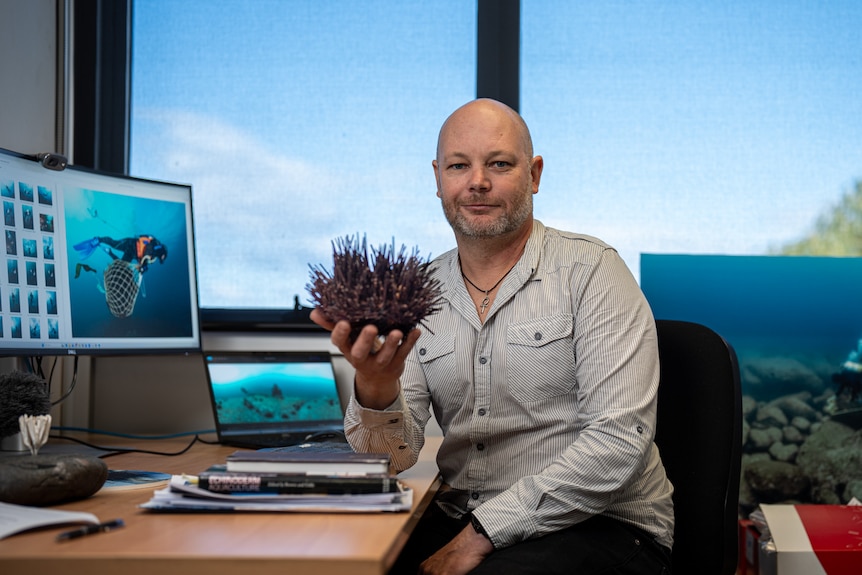 Man Holding a Sea Urchin