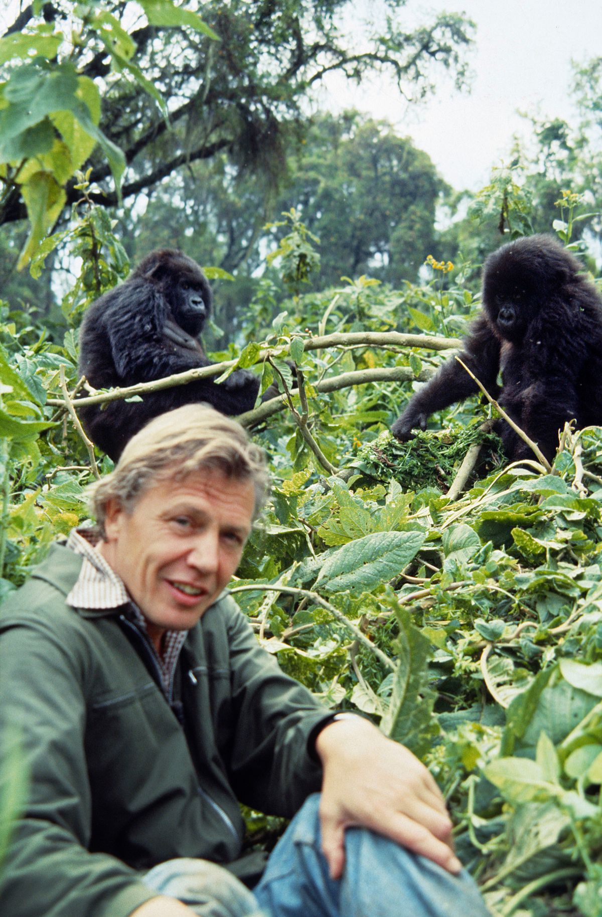 Sir David filmed in 1978