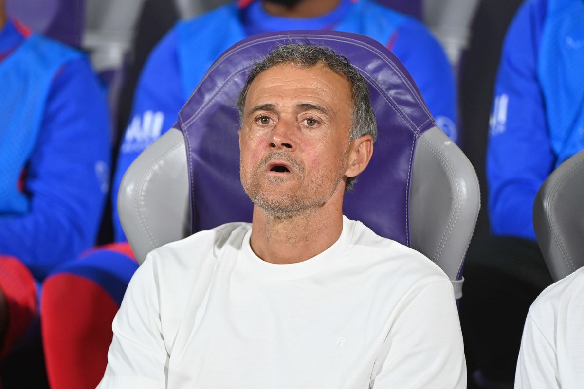 Luis ENRIQUE of Paris SG during the Ligue 1 McDonald's match between Toulouse and Paris at Stadium de Toulouse