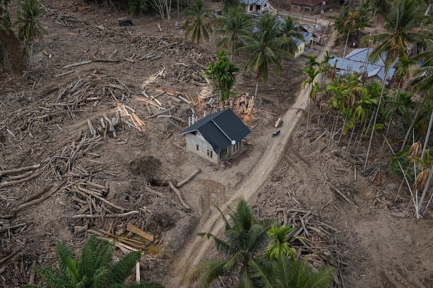 A lone house stands in the middle of debris and logs in Sawang district.