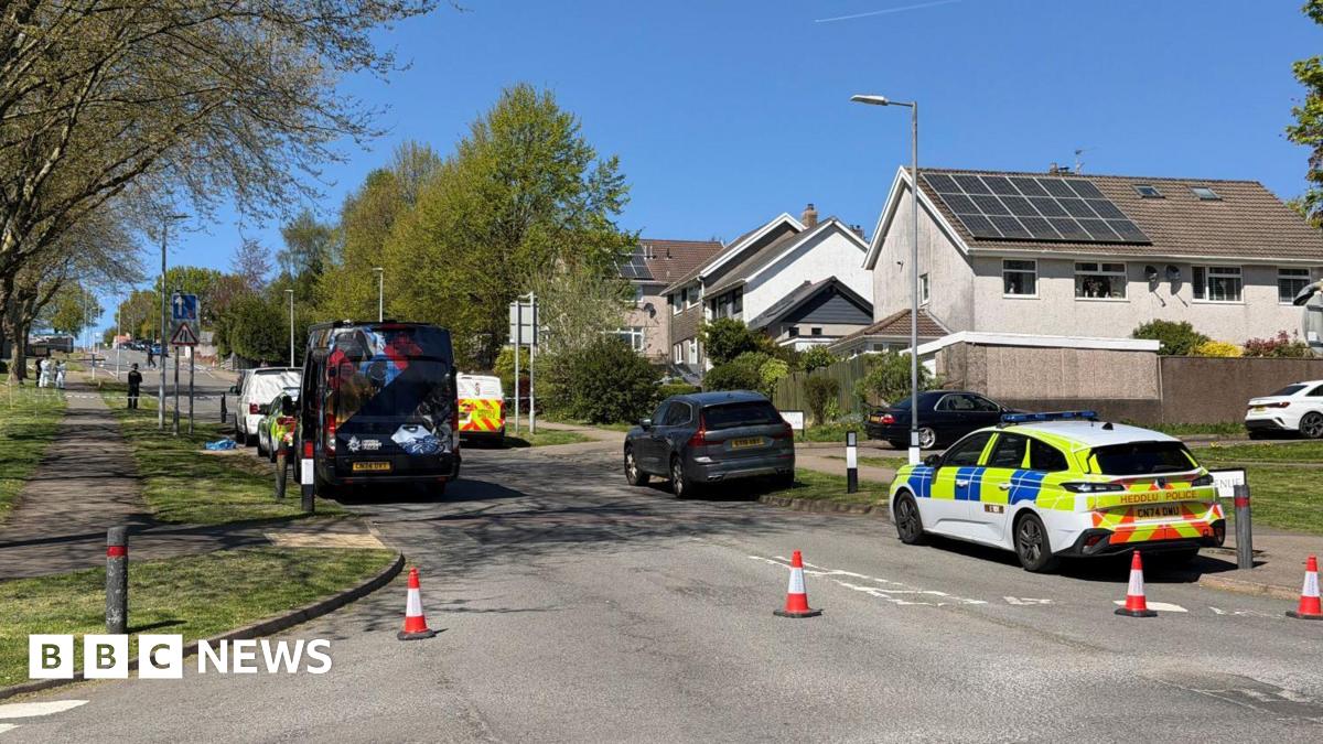 Police cars line a road in a residential street. Cones block the entrance to the road. Sun shines on the houses and there are green trees lining the pavement. A police car can be seen at the forefront of the image.