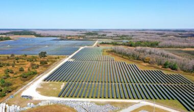 Environmental Disaster Is Looming Thanks To ‘Renewable’ Energy Sources