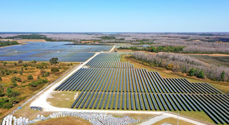 Environmental Disaster Is Looming Thanks To ‘Renewable’ Energy Sources